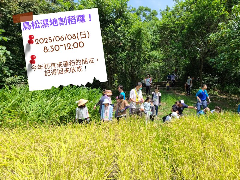 6/8 鳥松濕地 ~ 里山農事體驗–濕地稻田遊，半日農夫小體驗